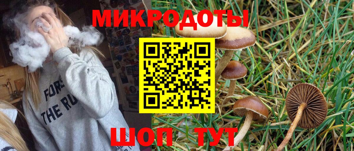 Ишим  Псилоцибиновые грибы Psilocybine cubensis  Вход с VPN 