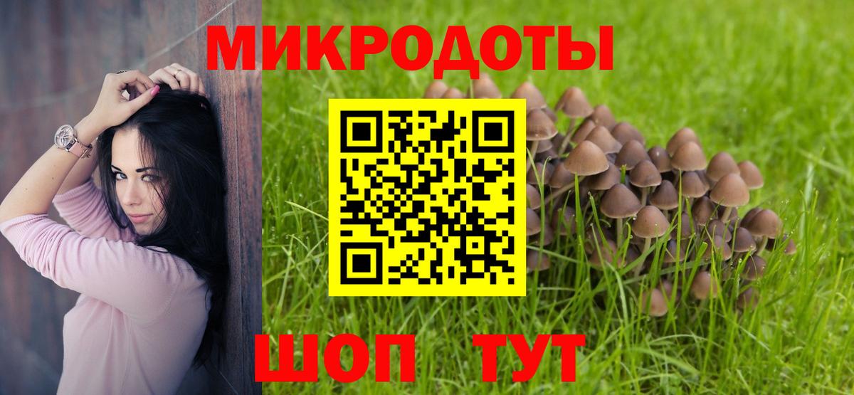 Псилоцибиновые грибы прущие грибы Ишим